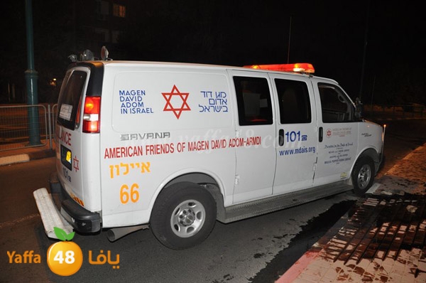 acc 7eshmona2em palmtree (17).JPG